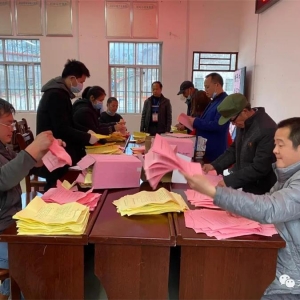 ���弶��֯���졿����ѡ�� ��г����