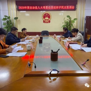 ���˴�ί�ᵳ�����2020�������������ٿ�