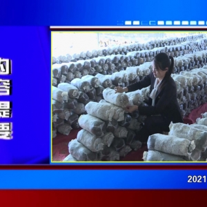 �������š�2021��02��10��������