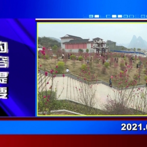 �������š�2021��02��19��������