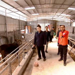 �����ĵ������翪չ���´����߷á���ũ�����ˡ�����ʵ���