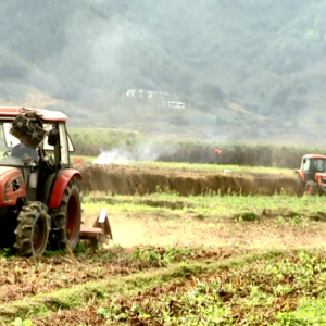 ���´����߷á���ũ�����ˡ����ؿ�չ����ũ��ˮ�����輰�������ֻ