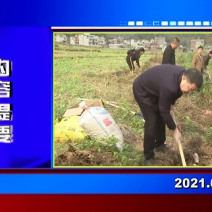 �������š�2021��02��20��������