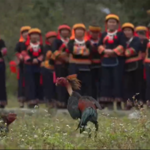 �ƽ�ʱ��50����չ�֣�����ʳΪ�α�����"ζ������Ա"������