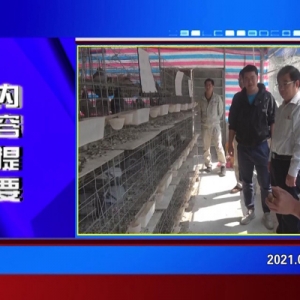 �������š�2021��02��24��������