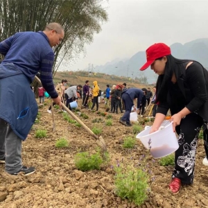 ֲ����������ʱ  Я�ְ���������