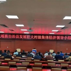 �󻯷�չ׳��弶���徭�ù����쵼С������ٿ�