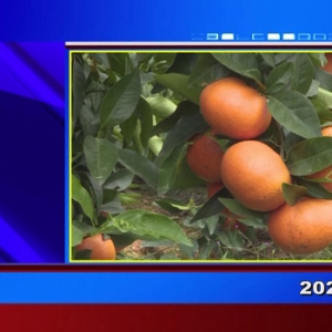 �������š�2021��03��25��������