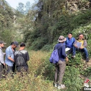 �Ĺ����Ƽ�¼Ƭ�����õ����ӡ����ڽ��������ⲥ��