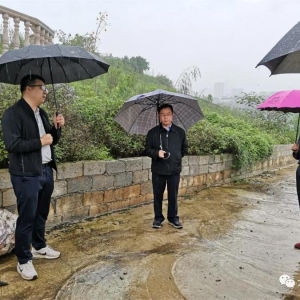 �����֡�ʮ���塱���ܽ������̡�����ʤ���л�����������ʱǿ����������̬���ϡ��ػ��� ...