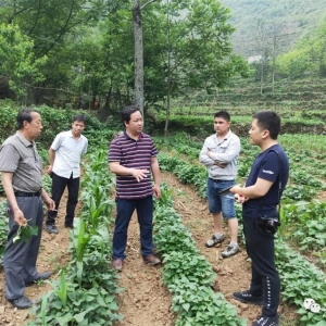 ���ܶ�����·�����������̡�����Ⱥ��ʯͷ�����ֳ��������