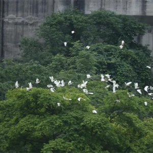 ��ˮ������ط� ��ɽ��������� | ��������̬ӭ��ϲ�˾���