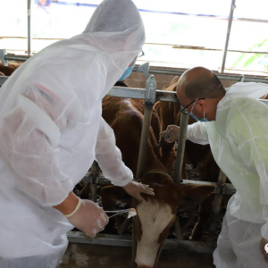 ����ũҵũ�����ʵ��չ����ΪȺ�ڰ�ʵ�¡�ʵ���