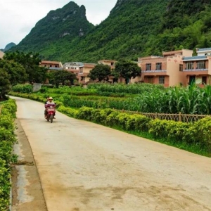 ���������ȫ�����˺�