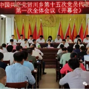 ������ѡ�١���г���졿�����磺�ϰѡ������ء����������ƽ��絳����ѡ�ٹ���