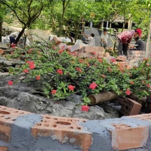 �󻯰����硡��΢��԰������ɽ��