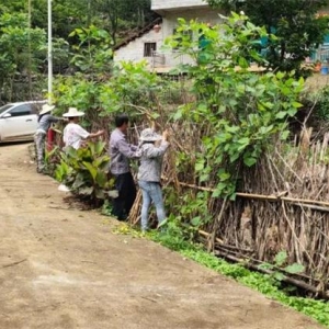 ����ΪȺ�ڰ�ʵ�¡������磺���������𡱹�������չ