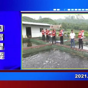 �������š�2021��06��03��������