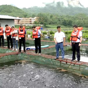 �����ĵ�������̲����ʱָ���������������ǿ�����������������ǿ���ȳ�