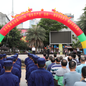 �󻯿�չ����ȫ�����¡���ȫ������ѯ�ջ