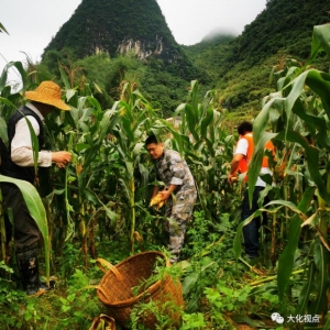 ���������꡿������:��Ա�ٱ�ͬ�������� ��Ѵ�����µ���