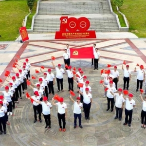 �󻯣�������ף��������ϵ�л ��ֲ���������黳