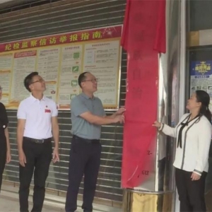 �����������ʽ���Ƴ���