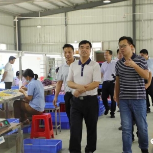 �������������ʱҪ�� ������չ��ƶ����ɹ� ��ȡ����ʵ���������