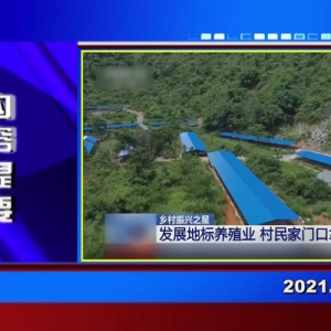 �������š�2021��08��06�� ������