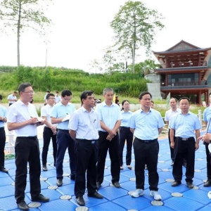 �ش��ɵ��󻯵���ʱǿ�� �ι�������ɫ��չ���� �ƶ���������������չ