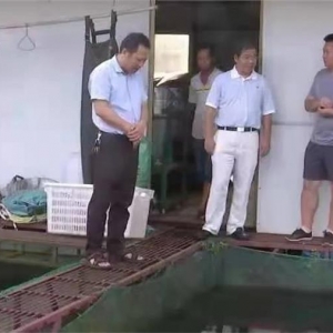 Τ���µ����������������������ֳ��ҵ