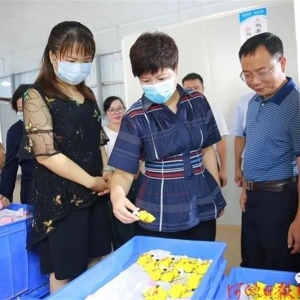 �����µ������󻯵���ʱҪ�� ������չ��̬��ҵ ȫ���ƽ��������