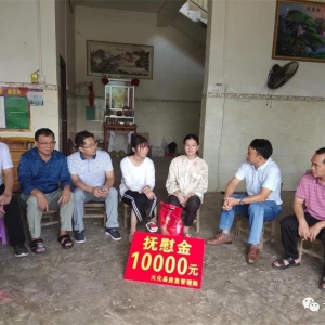 ��Ӧ�������ֵ���̲��ο������Ⱥ��