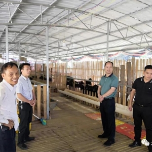 ����ί���쵼����������ɽ�忪չ���й���