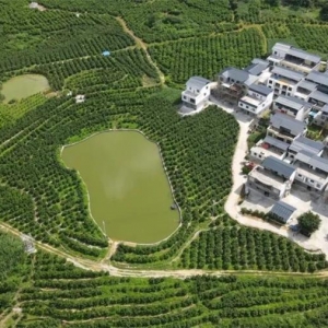 ���߽���忴С���������������ͣ���ҵ������ ���ݻ�����