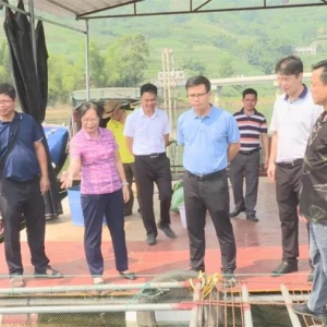 �����쵼������ҵ��չ����