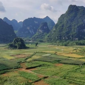 �㣡������ʲ¤��ġ��ᡱ�����㣡