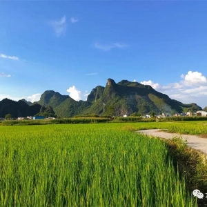 ����� �е���ح�����ڣ�ǧĶ����ˮ����������