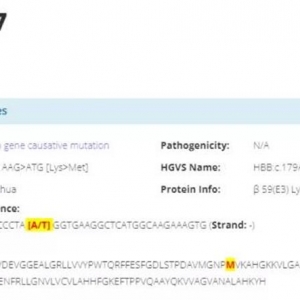 �����������󻯾���1�������쳣Ѫ�쵰��