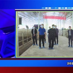 �������š�2021��10��18������һ