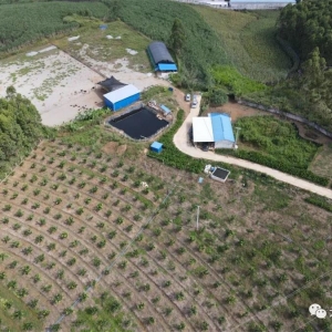 ����������չ��ɫ���� ��д��־�ഺ