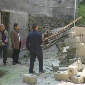 Τ���µ���̲��֯�ƽ���Ǩ�ɷ��������