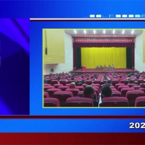 �������š�2021��11��03��������