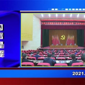 �������š�2021��11��10��������