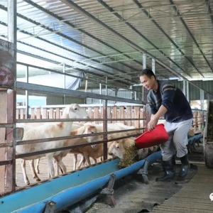 ��������ɼ�ӭ����������ʮ���ε������ٿ����󻯺����ҵ��չ��ͷ����ǿ��