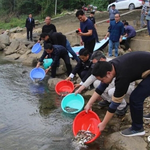 ��������ˡ�5��β��ϡ�������������̲������β