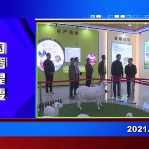 �������š�2021��11��12��������