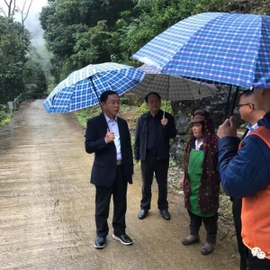 ��ʤ���������߷õ���