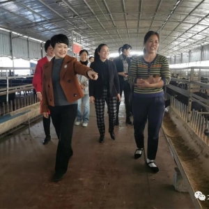 ����Э������ίԱ��չ��Ϊ���ʵ�¡����л