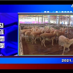 �������š�2021��11��24��������